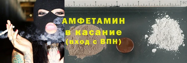 шишки Аркадак