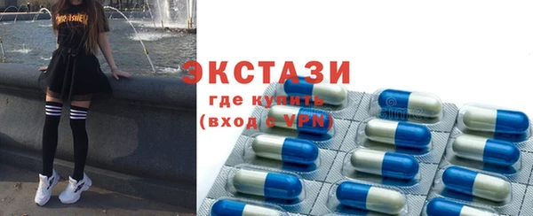 шишки Аркадак