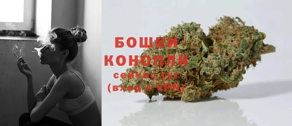 шишки Аркадак