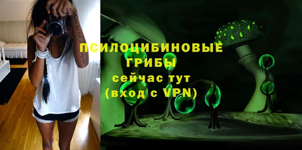 тгк Арсеньев