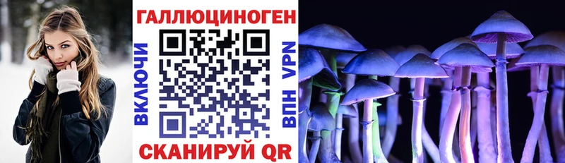 kraken ССЫЛКА  Баймак  Псилоцибиновые грибы Psilocybe 